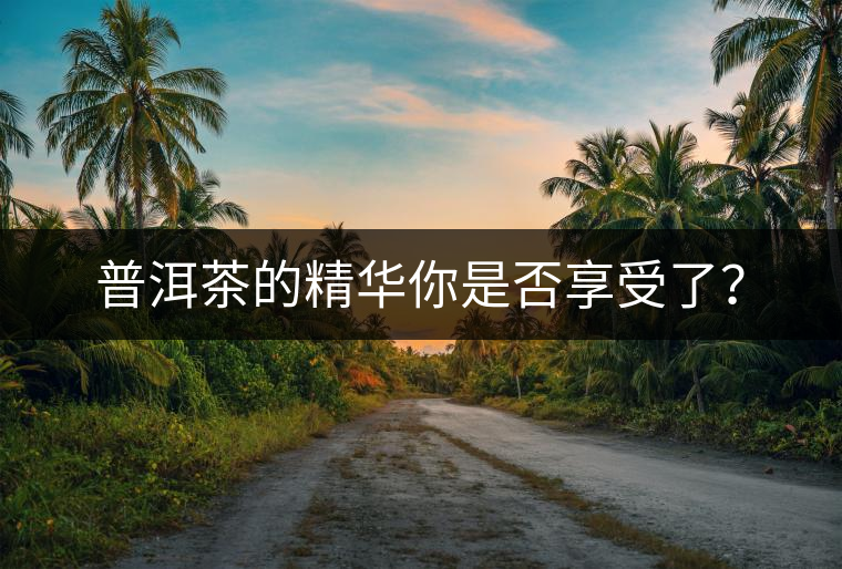 普洱茶的精華你是否享受了？