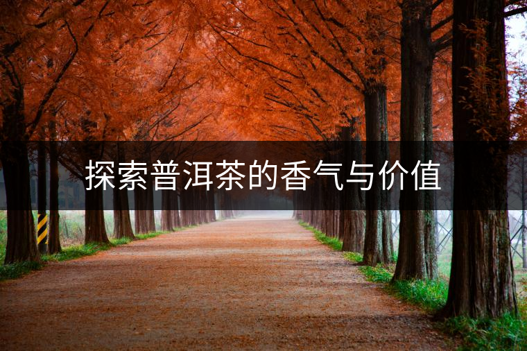 探索普洱茶的香氣與價(jià)值 探索普洱茶的香氣與價(jià)值