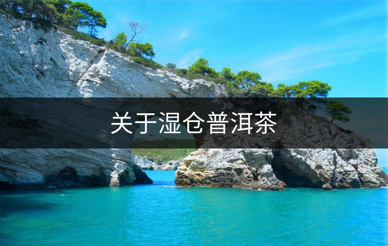 關(guān)于濕倉普洱茶