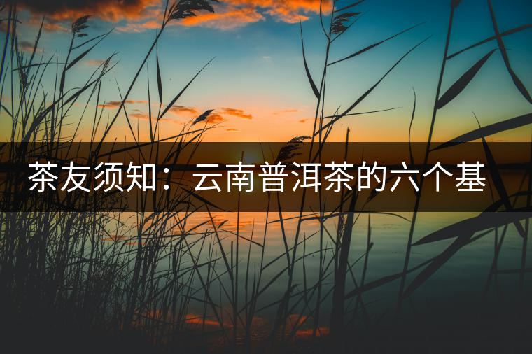 茶友須知:云南普洱茶的六個(gè)基本問(wèn)題 茶友須知:云南普洱茶的六個(gè)基本問(wèn)題