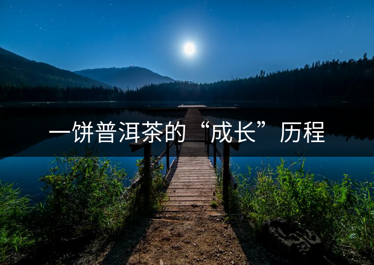 一餅普洱茶的“成長”歷程