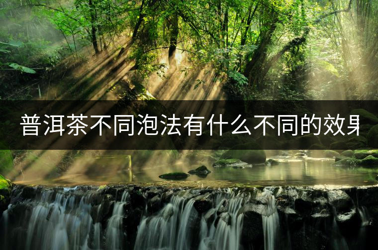 普洱茶不同泡法有什么不同的效果? 普洱茶不同泡法有什么不同的效果?