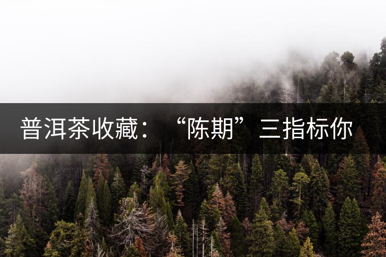 普洱茶收藏：“陳期”三指標(biāo)你知道嗎？