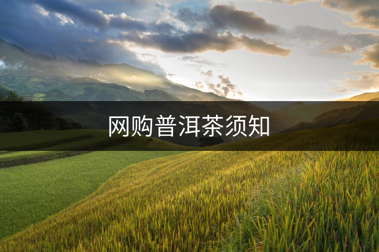 網(wǎng)購普洱茶須知