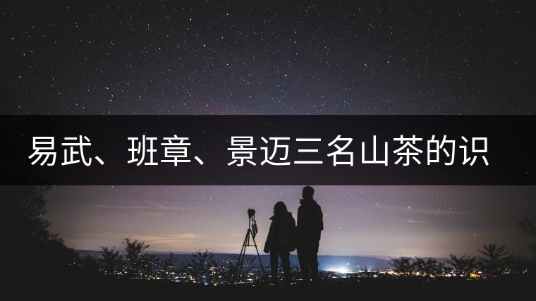 易武、班章、景邁三名山茶的識別