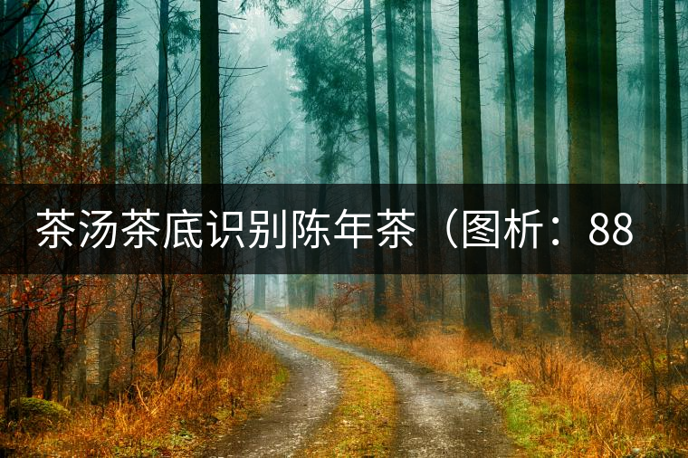 茶湯茶底識(shí)別陳年茶(圖析:88年青餅) 茶湯茶底識(shí)別陳年茶(圖析:88年青餅)