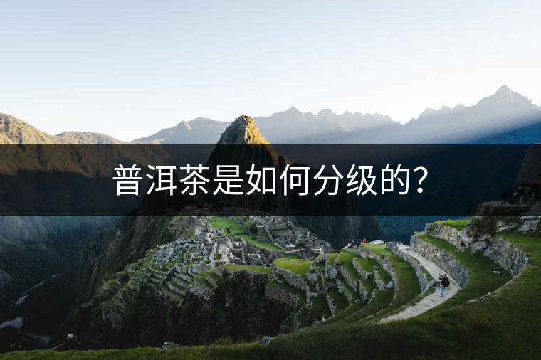 普洱茶是如何分級的？