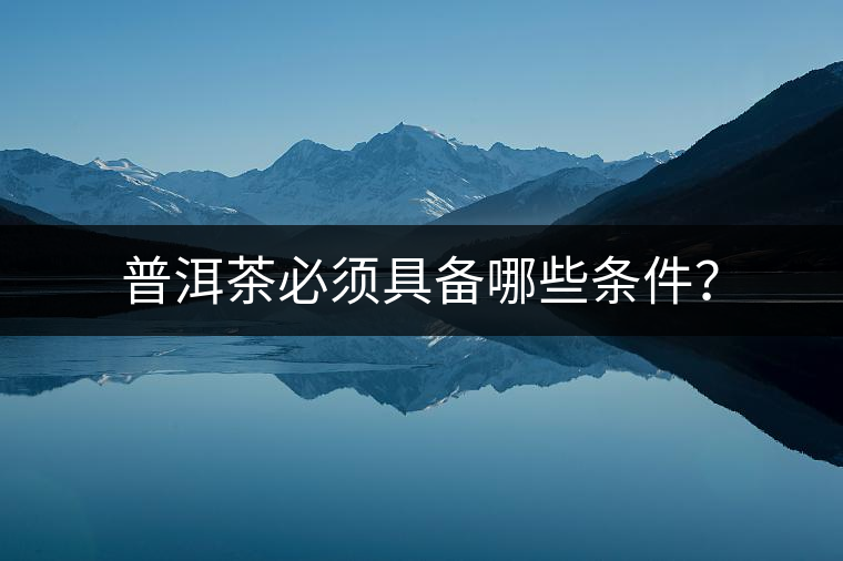 普洱茶必須具備哪些條件？