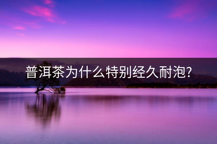 普洱茶為什么特別經久耐泡? 普洱茶為什么特別經久耐泡?