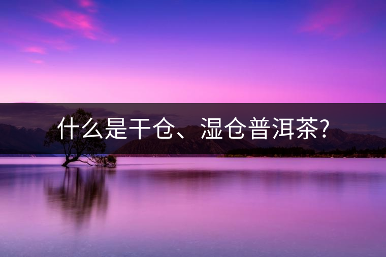 什么是干倉、濕倉普洱茶?