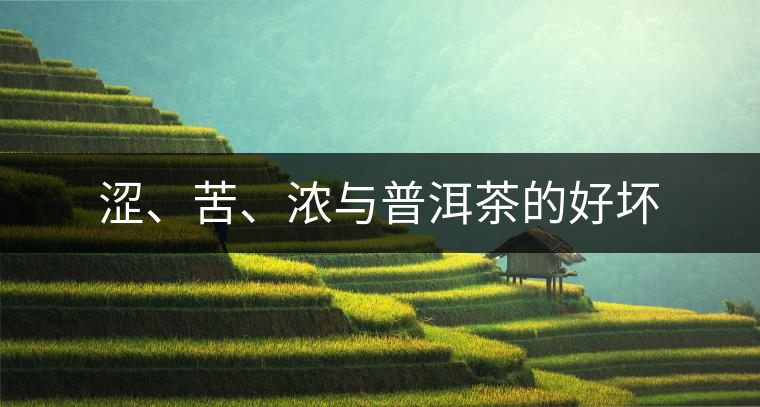 澀、苦、濃與普洱茶的好壞