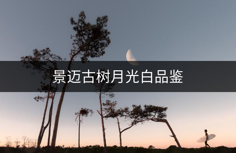 景邁古樹(shù)月光白品鑒 景邁古樹(shù)月光白品鑒