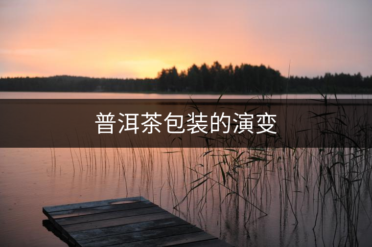 普洱茶包裝的演變 普洱茶包裝的演變