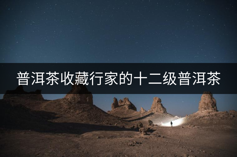 普洱茶收藏行家的十二級普洱茶