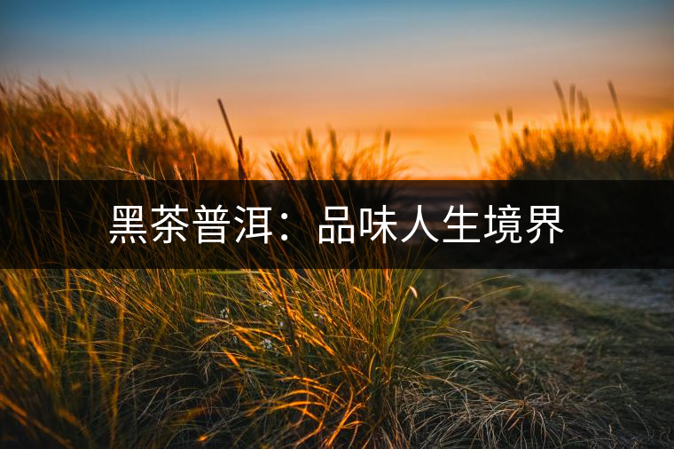 黑茶普洱：品味人生境界