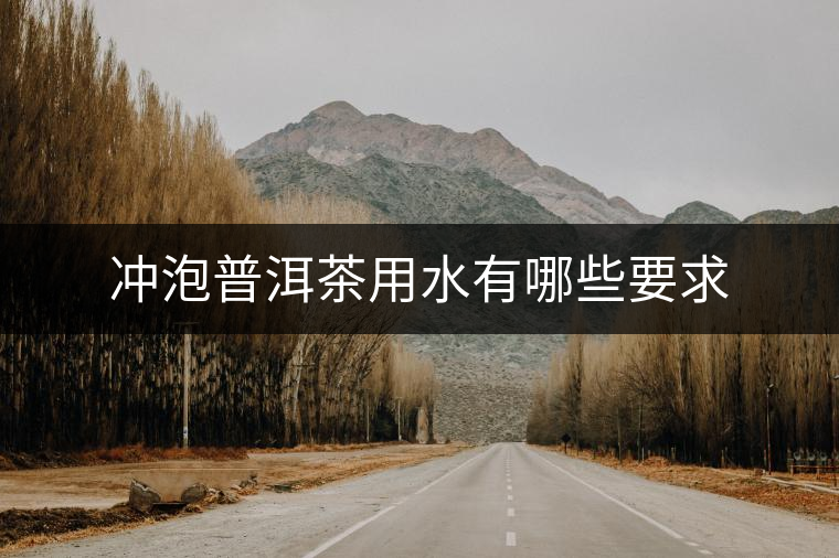 沖泡普洱茶用水有哪些要求 沖泡普洱茶用水有哪些要求
