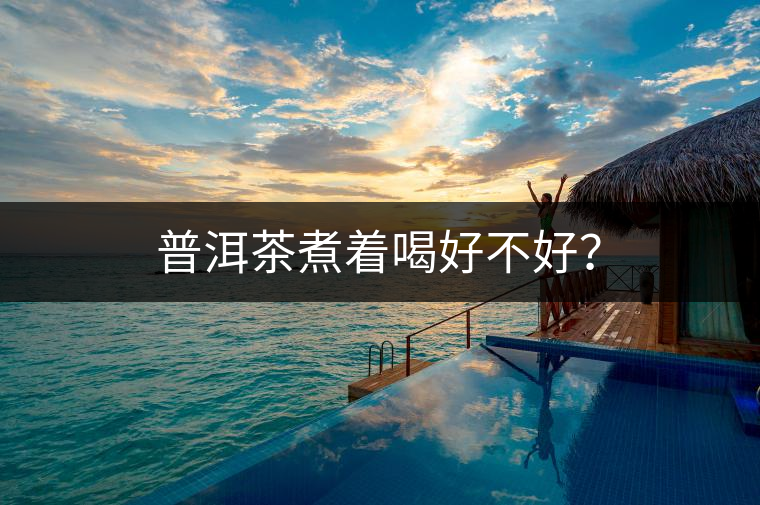 普洱茶煮著喝好不好？
