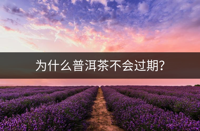 為什么普洱茶不會(huì)過(guò)期？