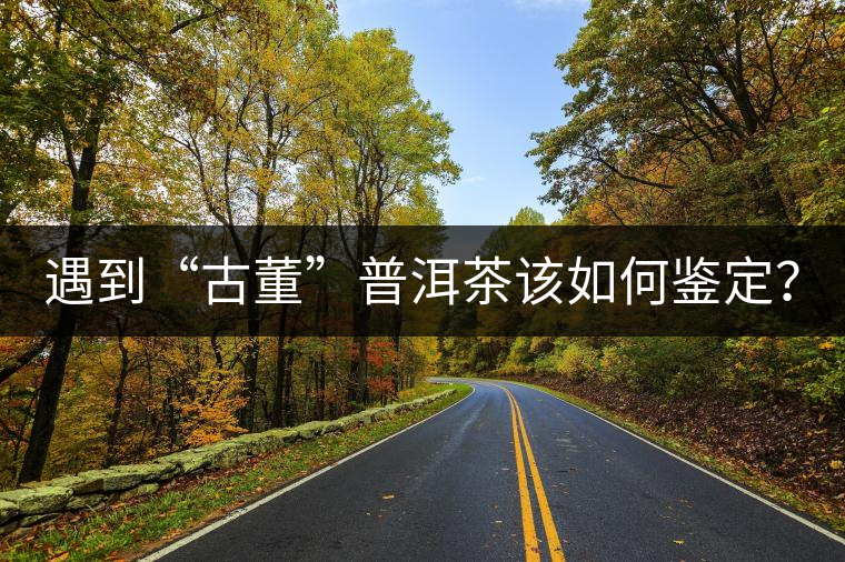 遇到“古董”普洱茶該如何鑒定？