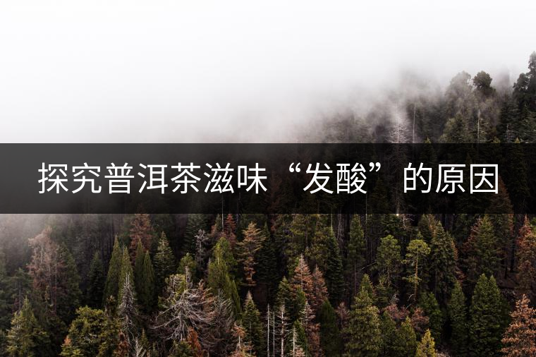 探究普洱茶滋味“發(fā)酸”的原因