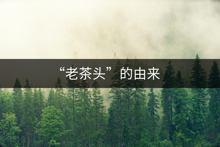 “老茶頭”的由來(lái)