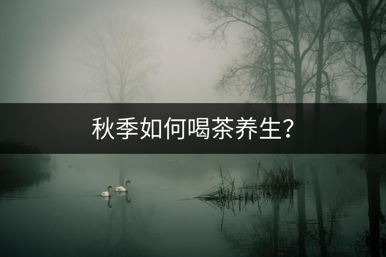 秋季如何喝茶養(yǎng)生？