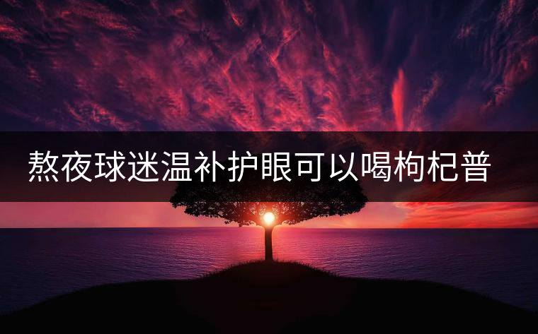 熬夜球迷溫補(bǔ)護(hù)眼可以喝枸杞普洱茶