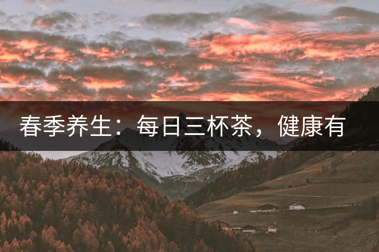 春季養(yǎng)生：每日三杯茶，健康有保障