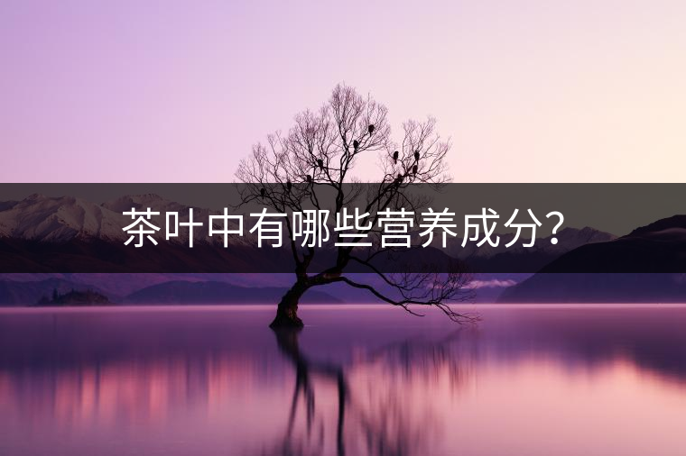茶葉中有哪些營養(yǎng)成分？