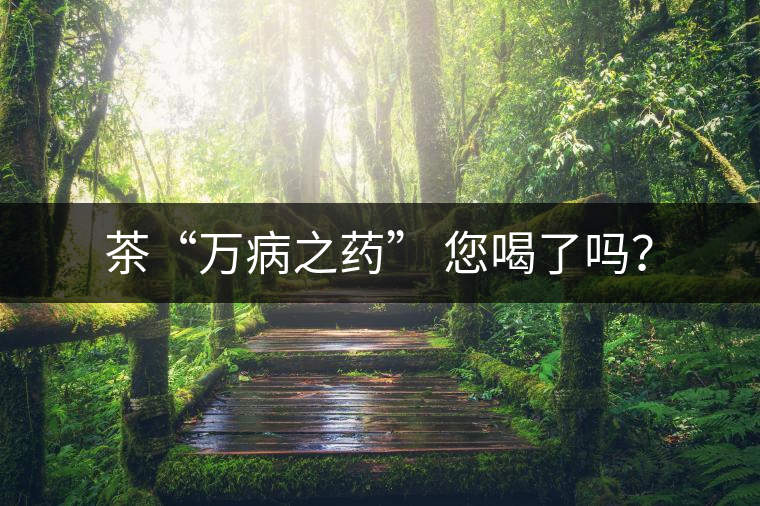 茶“萬病之藥” 您喝了嗎？