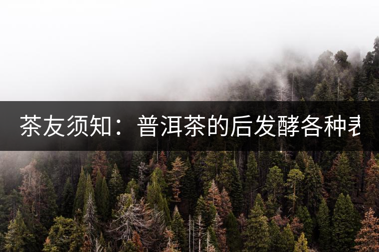 茶友須知：普洱茶的后發(fā)酵各種表現(xiàn) 喝普洱有益健康的奧妙所在！