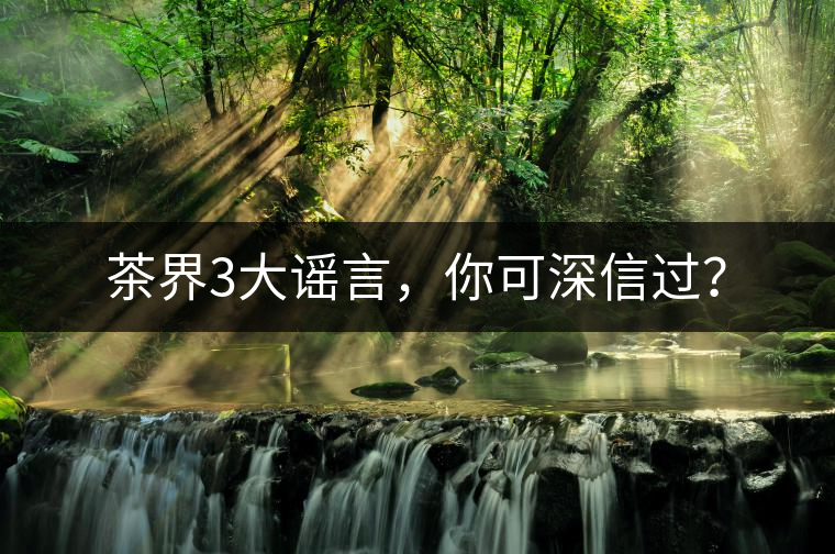 茶界3大謠言，你可深信過？