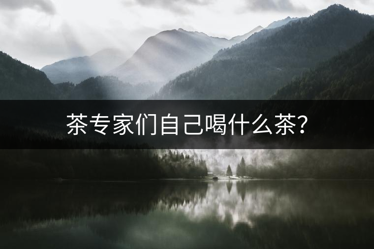 茶專家們自己喝什么茶？