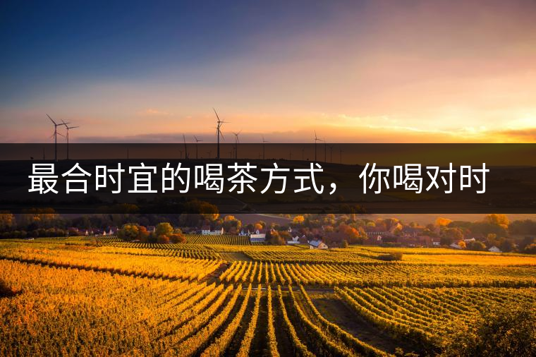 最合時宜的喝茶方式，你喝對時間了嗎？
