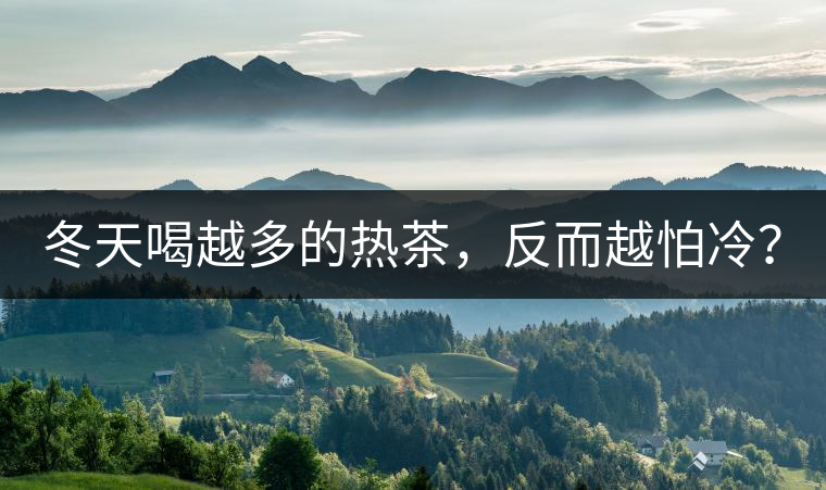 冬天喝越多的熱茶，反而越怕冷？