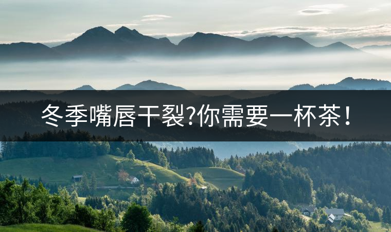 冬季嘴唇干裂?你需要一杯茶！
