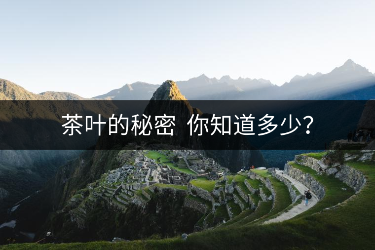 茶葉的秘密  你知道多少？