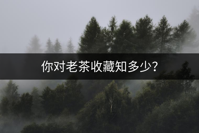 你對(duì)老茶收藏知多少？