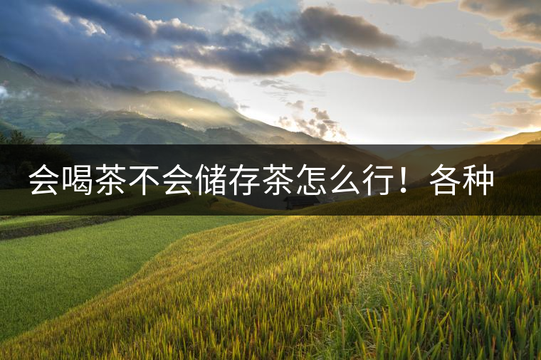 會喝茶不會儲存茶怎么行！各種存茶方法與技巧，把茶香留住