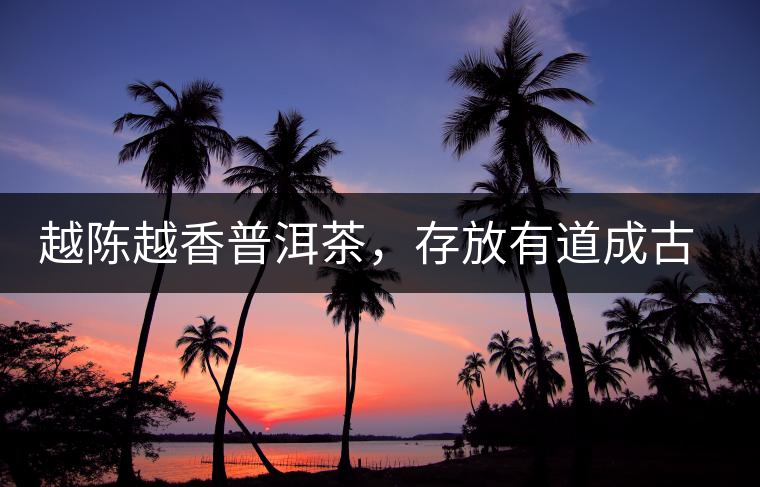 越陳越香普洱茶，存放有道成古董