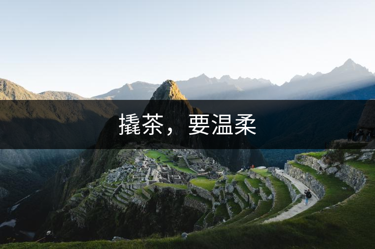 撬茶，要溫柔