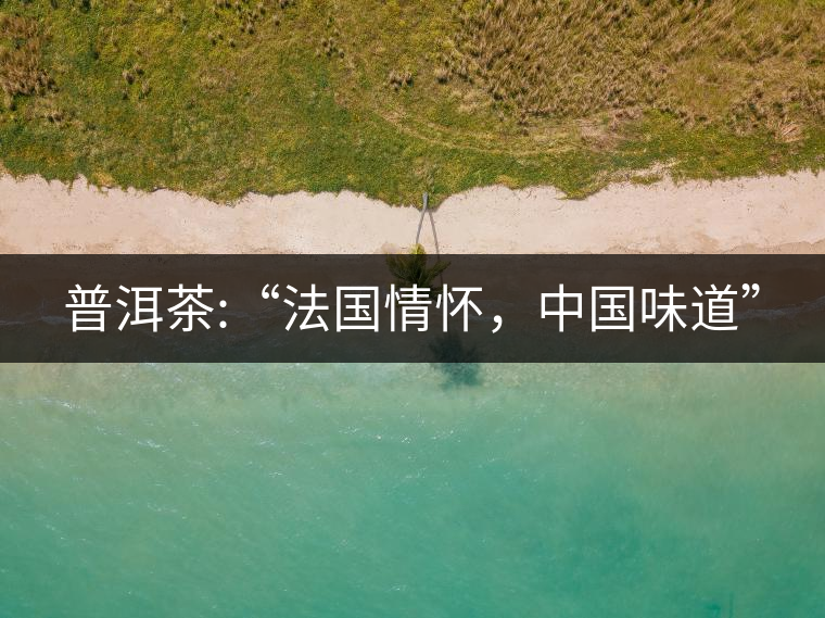 普洱茶:“法國(guó)情懷，中國(guó)味道”