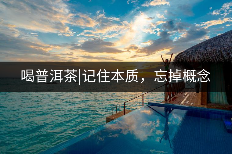 喝普洱茶|記住本質(zhì)，忘掉概念