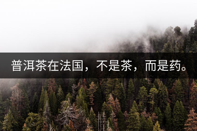 普洱茶在法國，不是茶，而是藥。