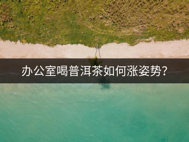 辦公室喝普洱茶如何漲姿勢？