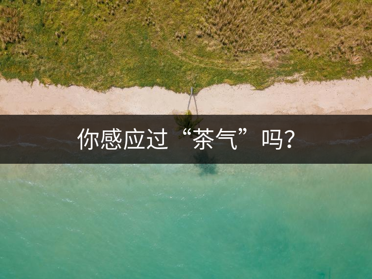 你感應(yīng)過(guò)“茶氣”嗎？