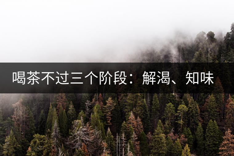 喝茶不過三個階段：解渴、知味、怡情