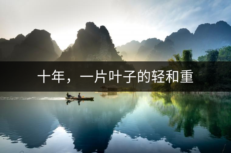 十年，一片葉子的輕和重