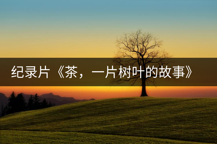 紀(jì)錄片《茶，一片樹(shù)葉的故事》 茶文化的詩(shī)意追尋