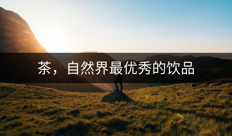 茶，自然界最優(yōu)秀的飲品
